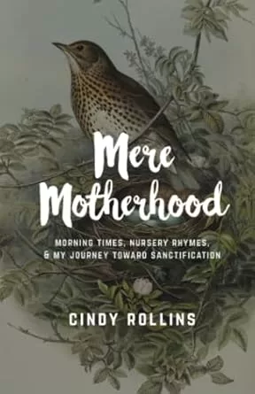 Cover of "Mere Motherhood" by Cindy Rollins. It depicts a bird in a nest of twigs and leaves.